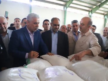 درخواست استاندار گیلان از وزیر جهادکشاورزی جهت خریداری برنج شالیکاران!