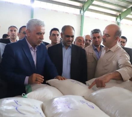 درخواست استاندار گیلان از وزیر جهادکشاورزی جهت خریداری برنج شالیکاران!