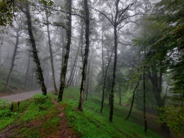 ماندگاری هوای گرم و شرجی تا ۴۸ ساعت آینده