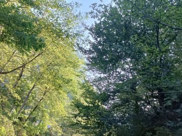 پایان هفته ای گرم و شرجی در گیلان!