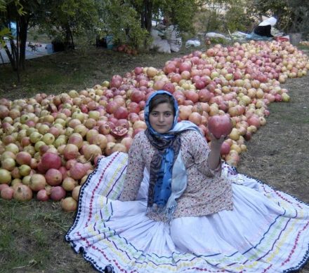 برگزاری جشنواره شکرانه برداشت انار در روستای انبوه رودبار!