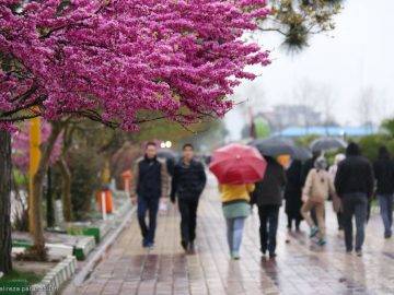 ورود توده هوای بارشی و سرد به گیلان/ کاهش پنج تا ۱۰ درجه‌ای دمای هوای گیلان!