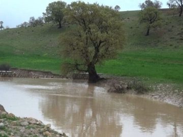 بارشها در گیلان ۱۵ درصد کاهش یافت!