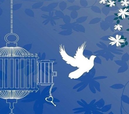 دانش‌آموزان لاهیجانی 3 زندانی جرایم غیرعمد‌ را آزاد کردند