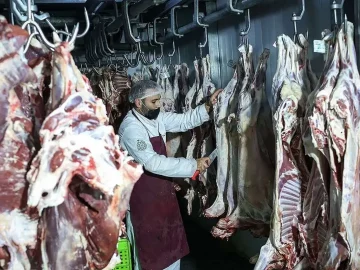 قیمت واقعی گوشت چقدر است؟