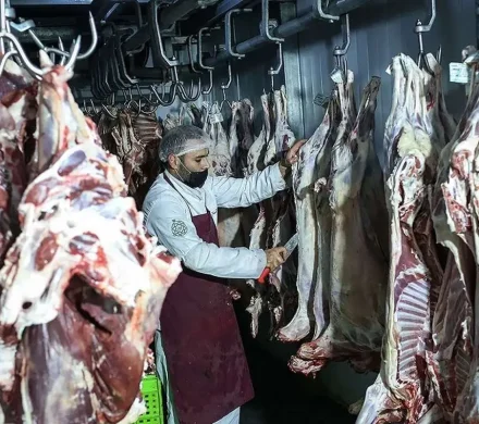 قیمت واقعی گوشت چقدر است؟
