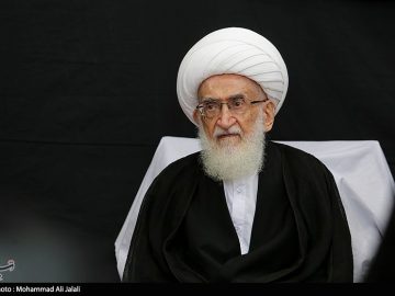 تأکید آیتالله نوری همدانی بر تسریع در انتخاب رهبری