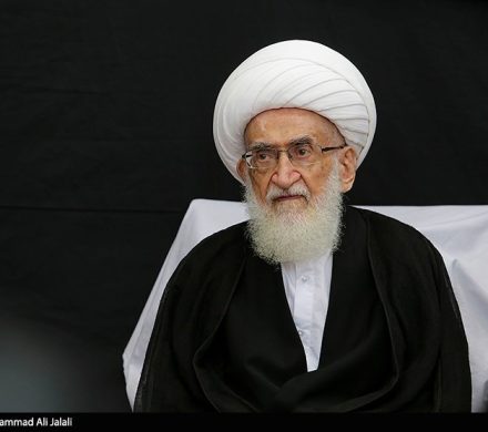 تأکید آیتالله نوری همدانی بر تسریع در انتخاب رهبری