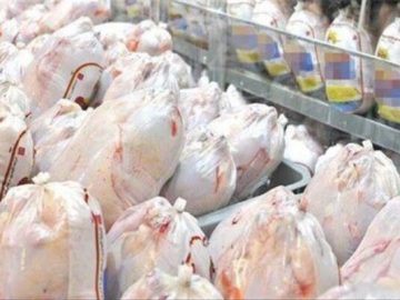 مرغ در گیلان به قیمت قبل باز می گردد