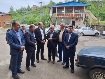 آغاز برداشت چای بهاره در لاهیجان