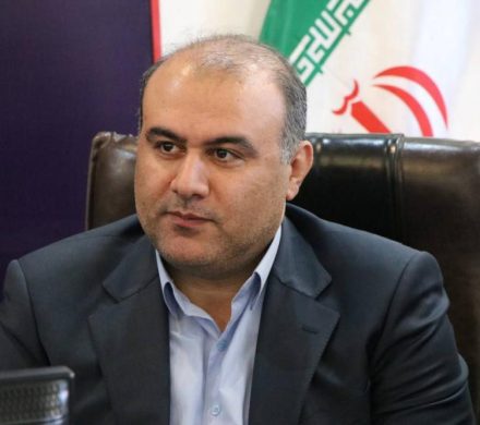 آمادگی لنگرود برای آغاز برداشت برگ سبز چای