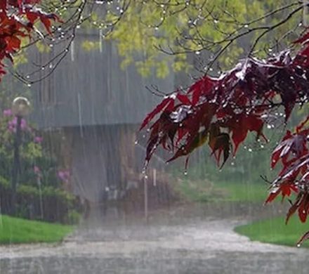 هشدار زرد هواشناسی در گیلان
