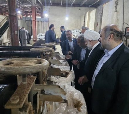 ورود نخستین کمباین چندمنظوره برداشت چای به کشور
